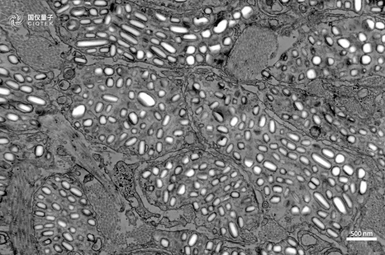 083116_159037_jswz.png 083116_159037_jswz.png