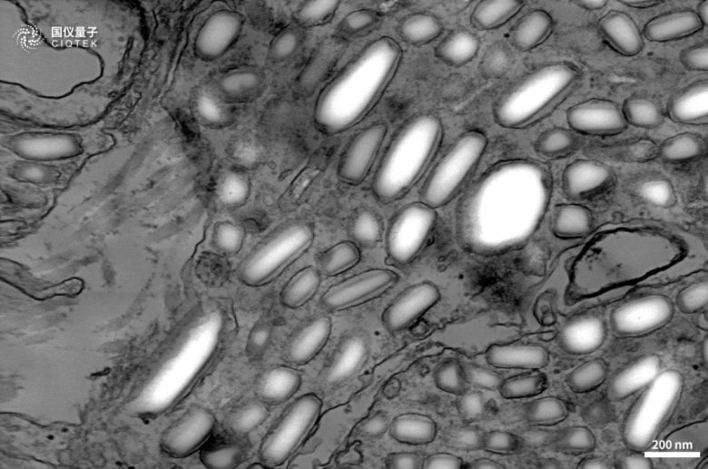 083130_061243_jswz.png 083130_061243_jswz.png