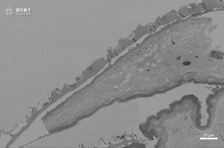 083149_550221_jswz.png 083149_550221_jswz.png