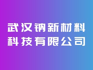 武汉钠新材料科技有限公司出席IPIE2024上海国际高端粉体装备与科学仪器展