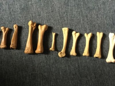 关键时刻，这些陶瓷能“救你一命”！