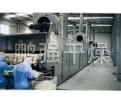 DWC系列脱水蔬菜带式干燥机的图片