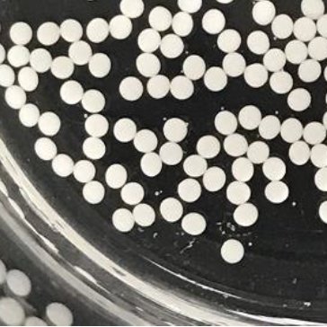 092503_254667_gsdt.png 6.png