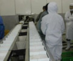 链板输送机的图片