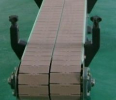 链板输送机.的图片