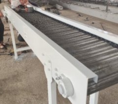 直行提升耐高温网带输送机的图片