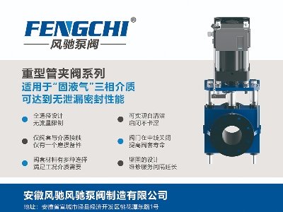 LYyTcsݣ2024(ڰˌ)ȫʯӢչ[