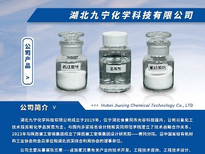 ŌWcsݣ2024(ڰˌ)ȫʯӢչ[