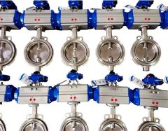 气动硬密封蝶阀1的图片