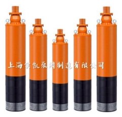 WQXN内装式矿用潜水电泵的图片