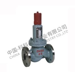 平行式安全回流阀的图片