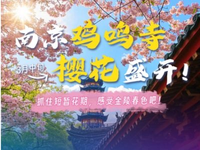 3月南京春日限定！赶一场医药粉体盛会，赴一场樱花之约！