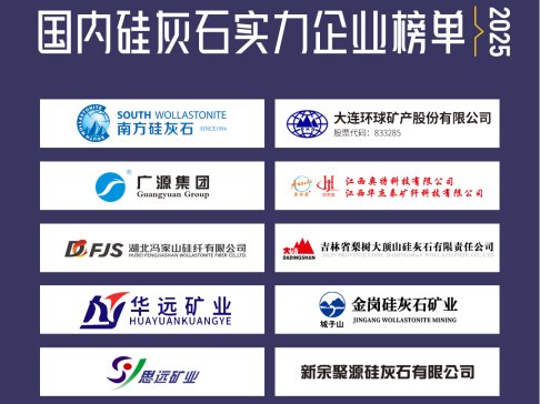 2025年国内硅灰石实力企业榜单