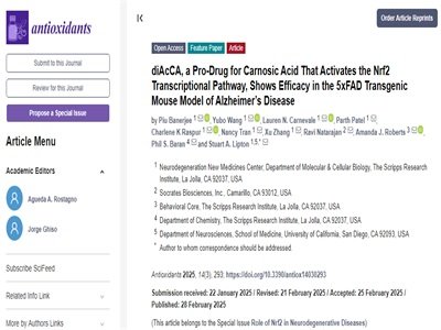 中药新突破！迷迭香成分助力阿尔茨海默病治疗