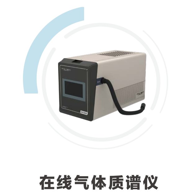 在线气体质谱仪