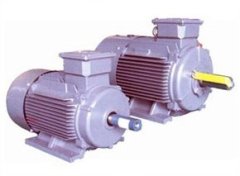 东元V系列标准电机的图片