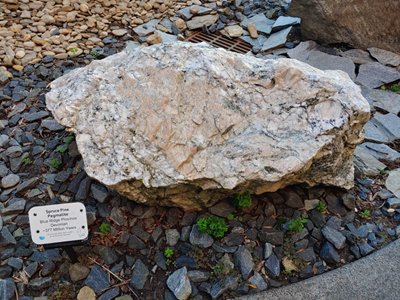 @һaIͻ̰壬Ǹ߼ʯӢԭϣ