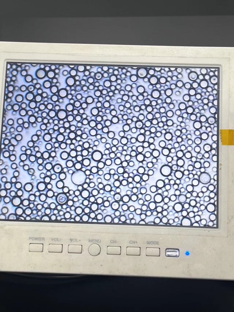 100823_247376_procont.jpg 海孵医疗 微球 (2).jpg