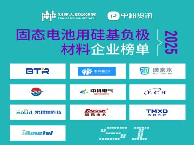2025年固态电池用硅基负极材料企业榜单
