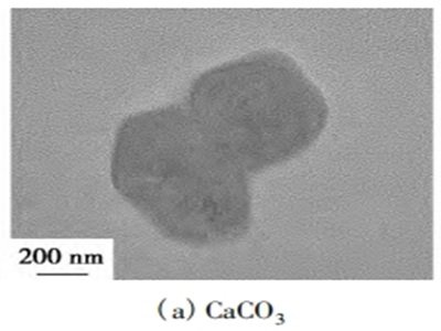碳酸钙复合功能材料的构建与功能化研究