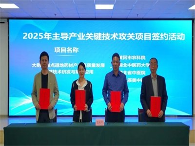 湖北辰美中药携手多方，共促大别山道地药材全产业链腾飞