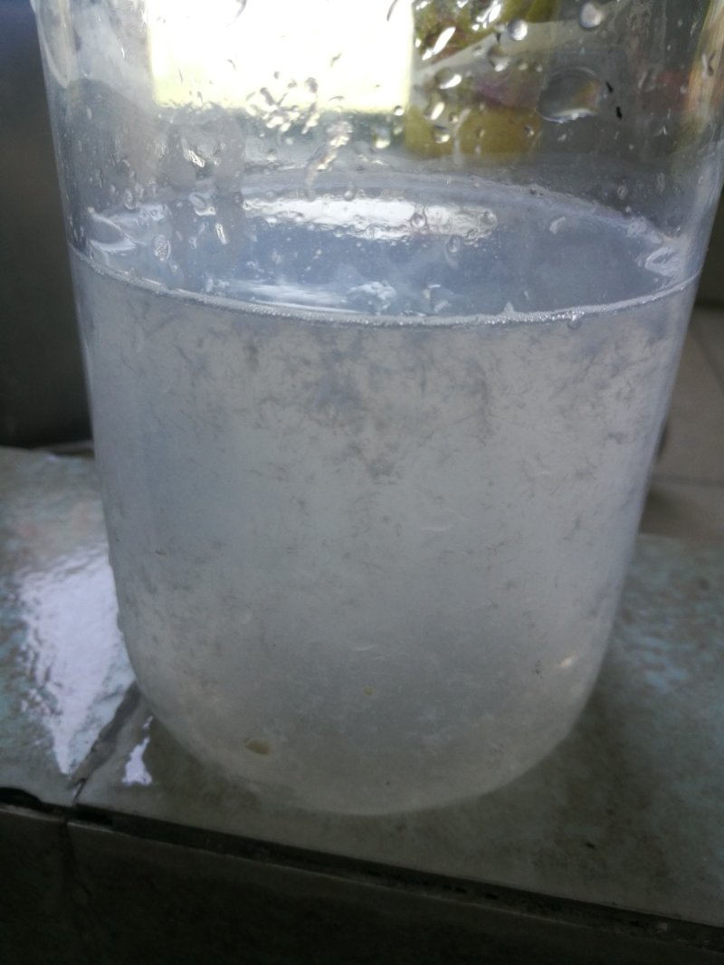 华迈 猪皮 (1).jpg