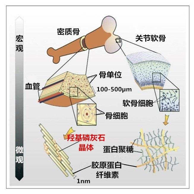 164043_341668_jswz.png