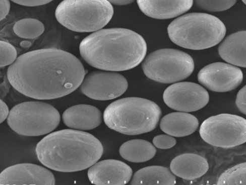 SA-90W氧化铝的图片