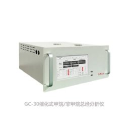 GC-30催化式甲烷/非甲烷总烃分析仪的图片