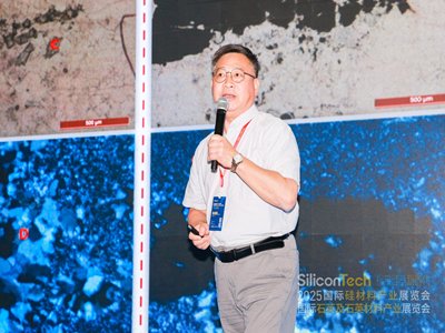 “曾建议2家企业慎重介入高纯石英产业”——专访武汉理工大学张凌燕教授