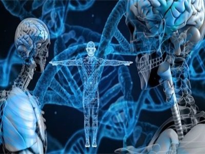 羟基磷灰石，近乎理想的骨修复及替代材料！