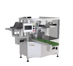 GDS210-08给袋包装机的图片