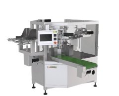 GDS260-08 给袋包装机的图片