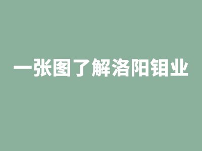 一张图了解洛阳钼业