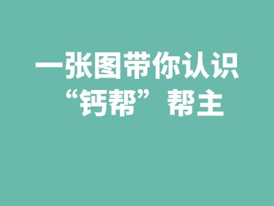 一张图带你认识“钙帮”帮主