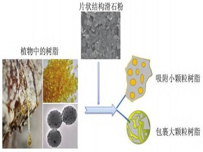 造纸至少还有30年以上的持续增长空间，碳酸钙、滑石粉还能冲一冲！