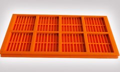 聚氨酯筛板-粗筛的图片