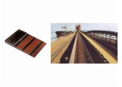 普通聚酯输送带的图片