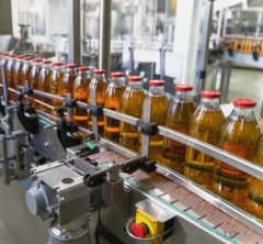 直行链板输送机的图片