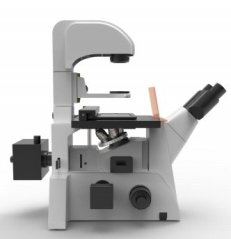 倒置荧光显微镜ABN-FLU-05的图片