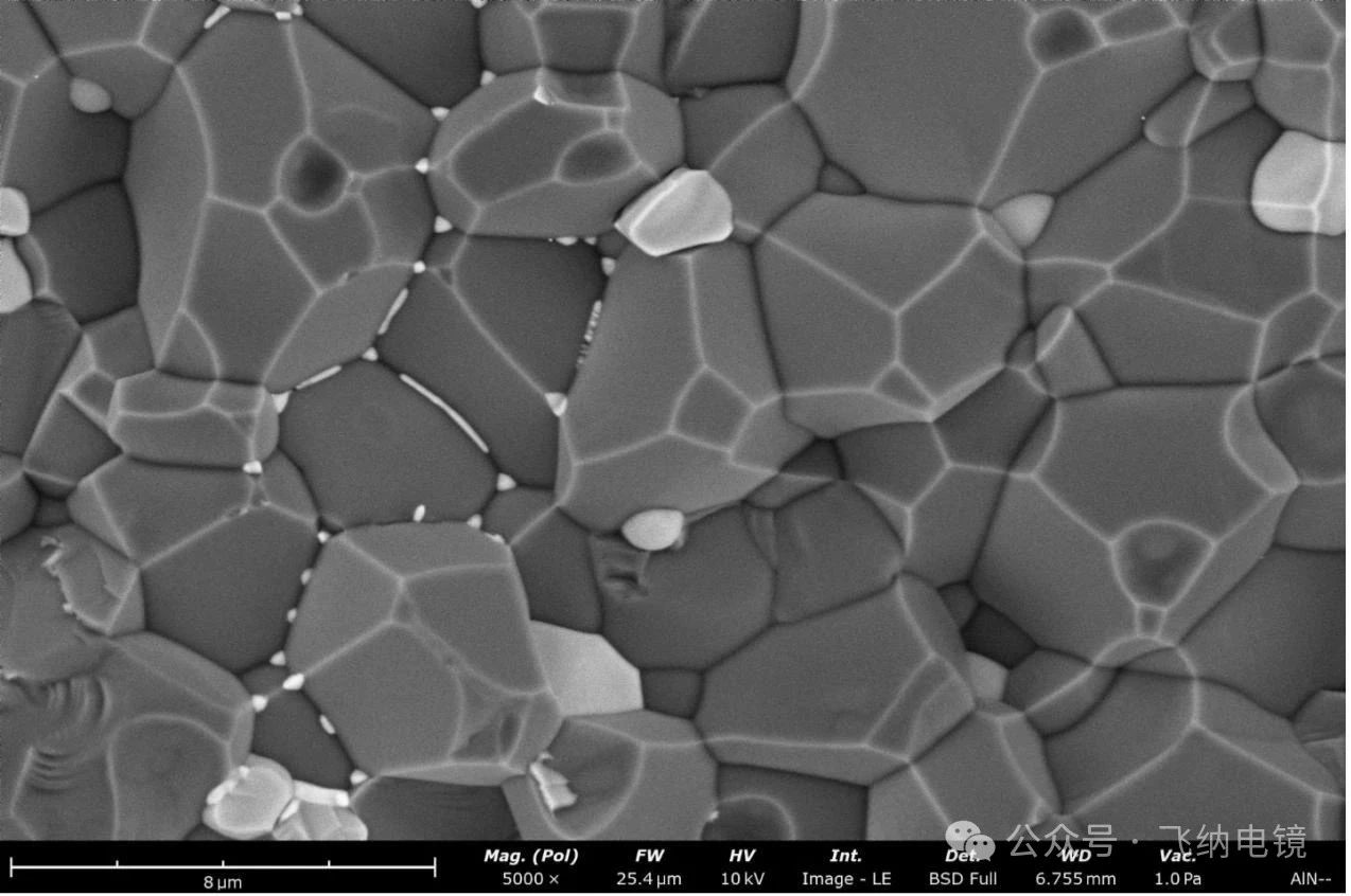 飞纳电镜背散射电子像