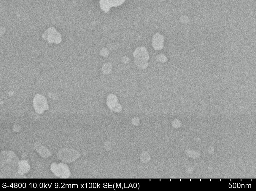 123338_642572_ue_procont.png 1.png