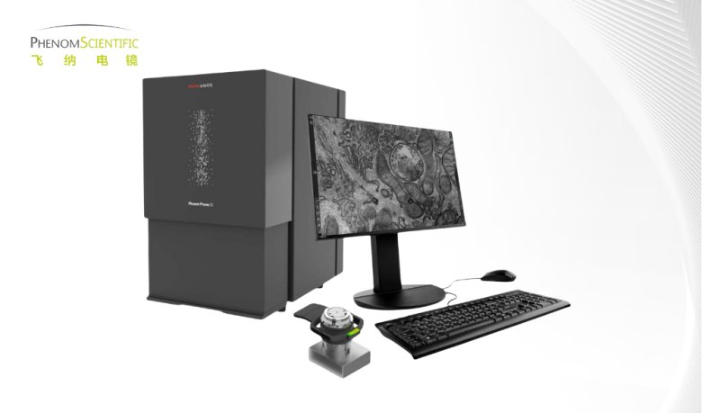 phenom pharos STEM台式扫透电镜