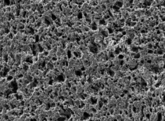 多孔石墨的图片