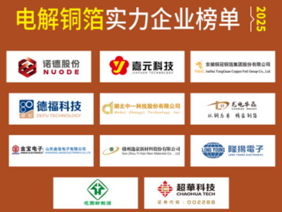 2025电解铜箔实力企业榜单