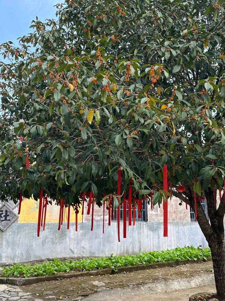 081535_536200_gsdt.jpg 081535_536200_gsdt.jpg