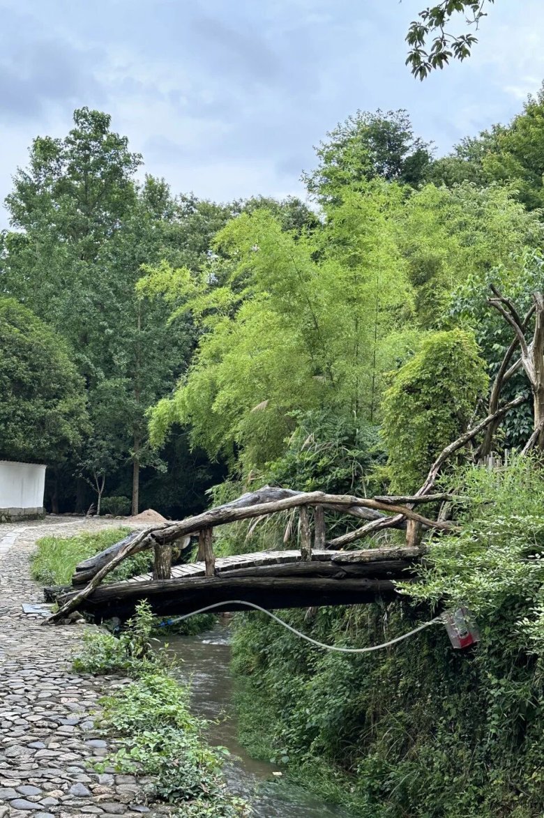 081728_833483_gsdt.jpg 081728_833483_gsdt.jpg