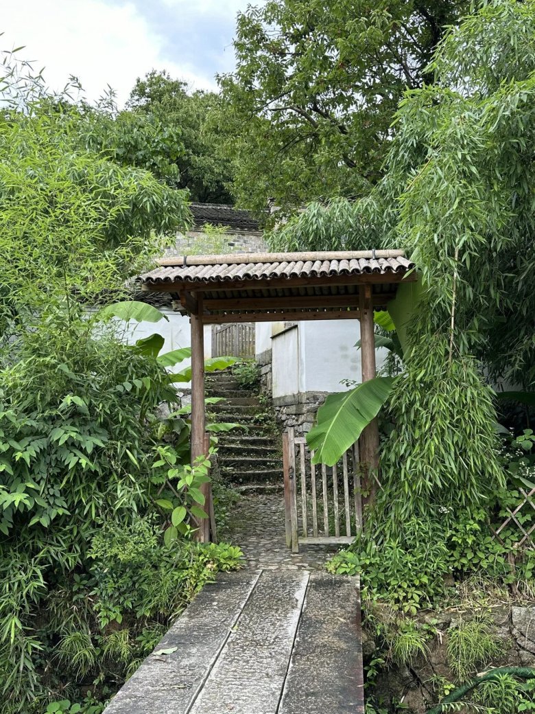 081757_211262_gsdt.jpg 081757_211262_gsdt.jpg