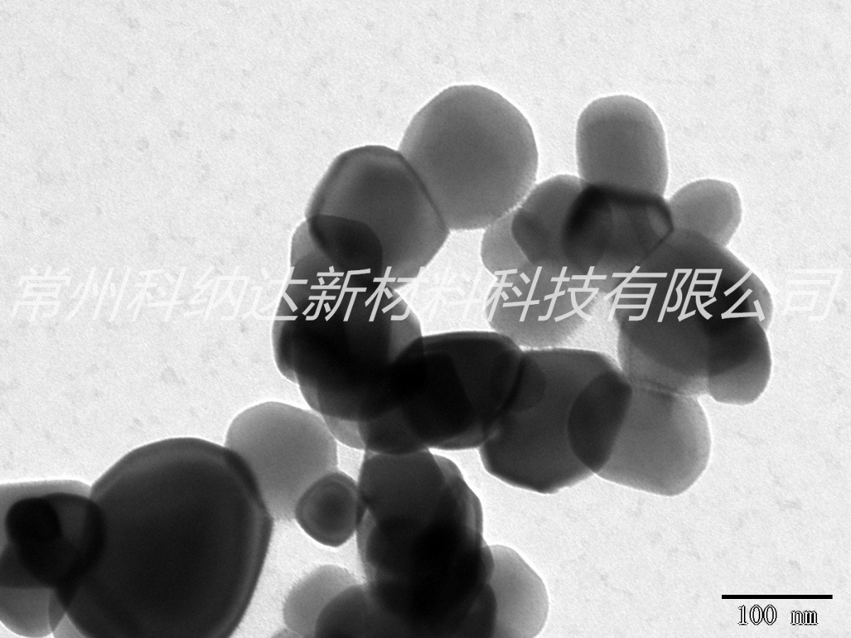 tb50 电镜图01.jpg