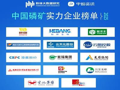 2025中国磷矿实力企业榜单